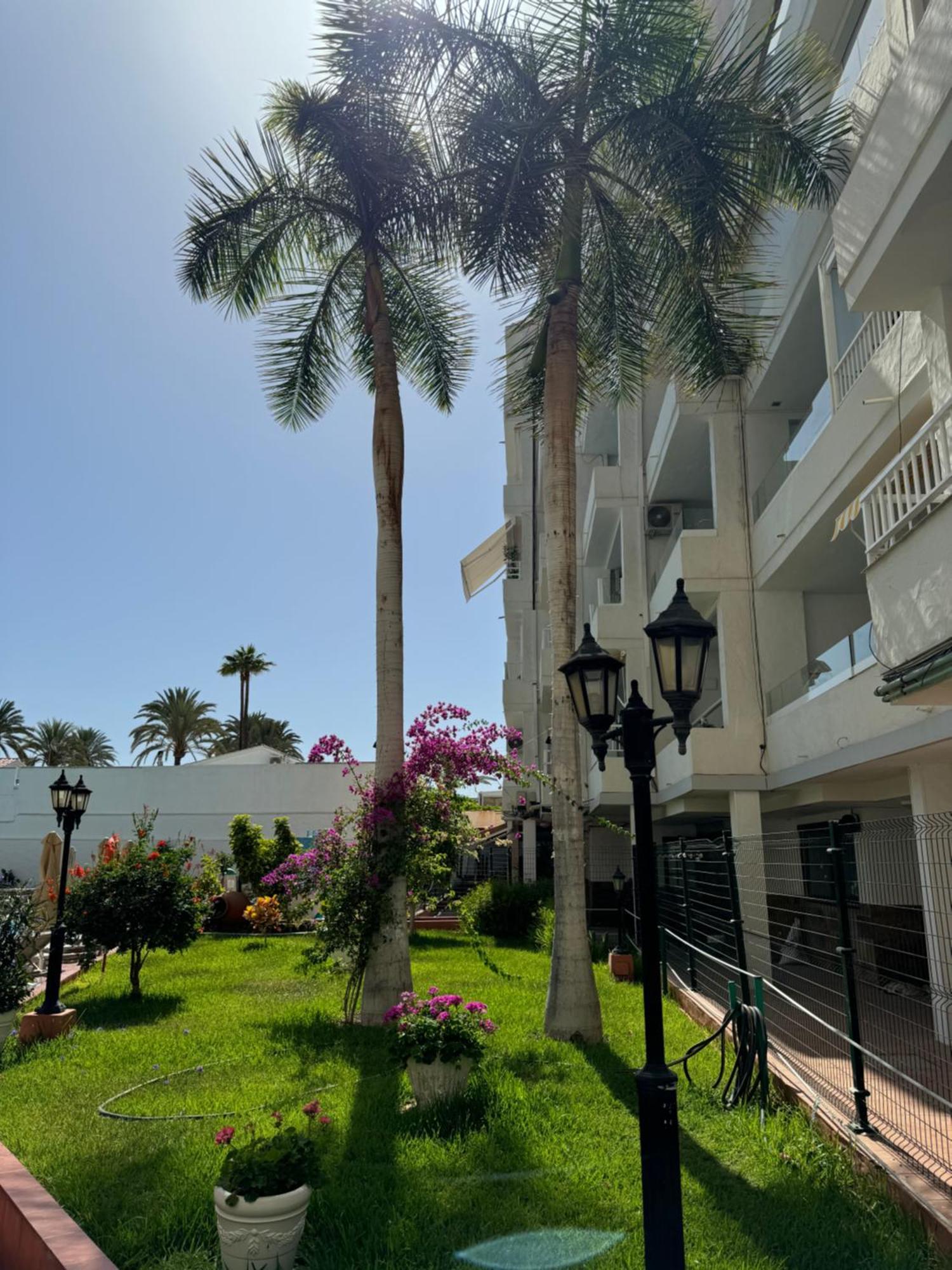 Apartamento Reformado En Apartamentos Tanife, Playa Del Ingles San Bartolome de Tirajana  Exterior photo