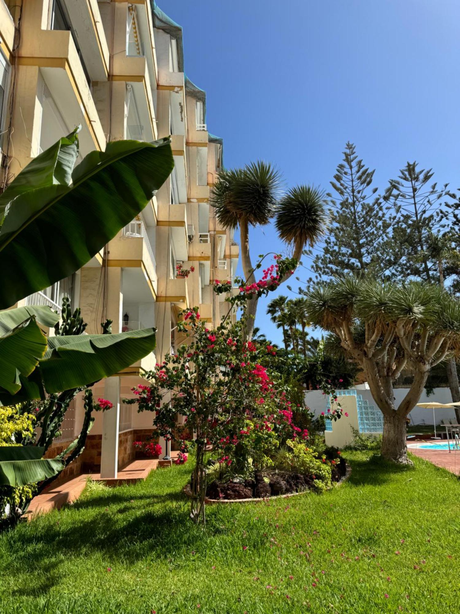 Apartamento Reformado En Apartamentos Tanife, Playa Del Ingles San Bartolome de Tirajana  Exterior photo